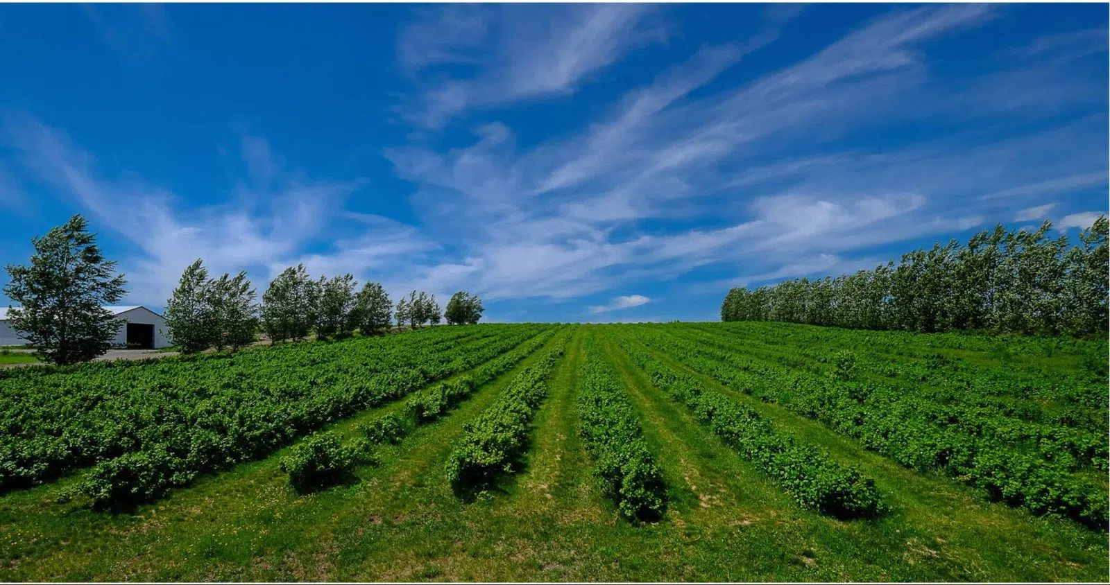 Du Capitaine – Ferme, Vinaigrerie, Distillerie, Quebec