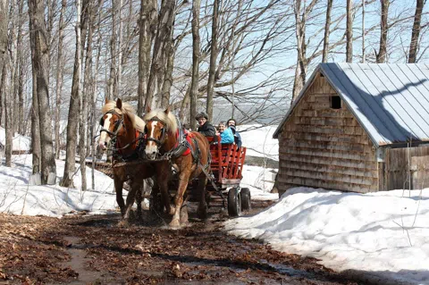 The Sugar Season: Quebec's Cabanes à Sucre and the Feast That Breaks the Winter