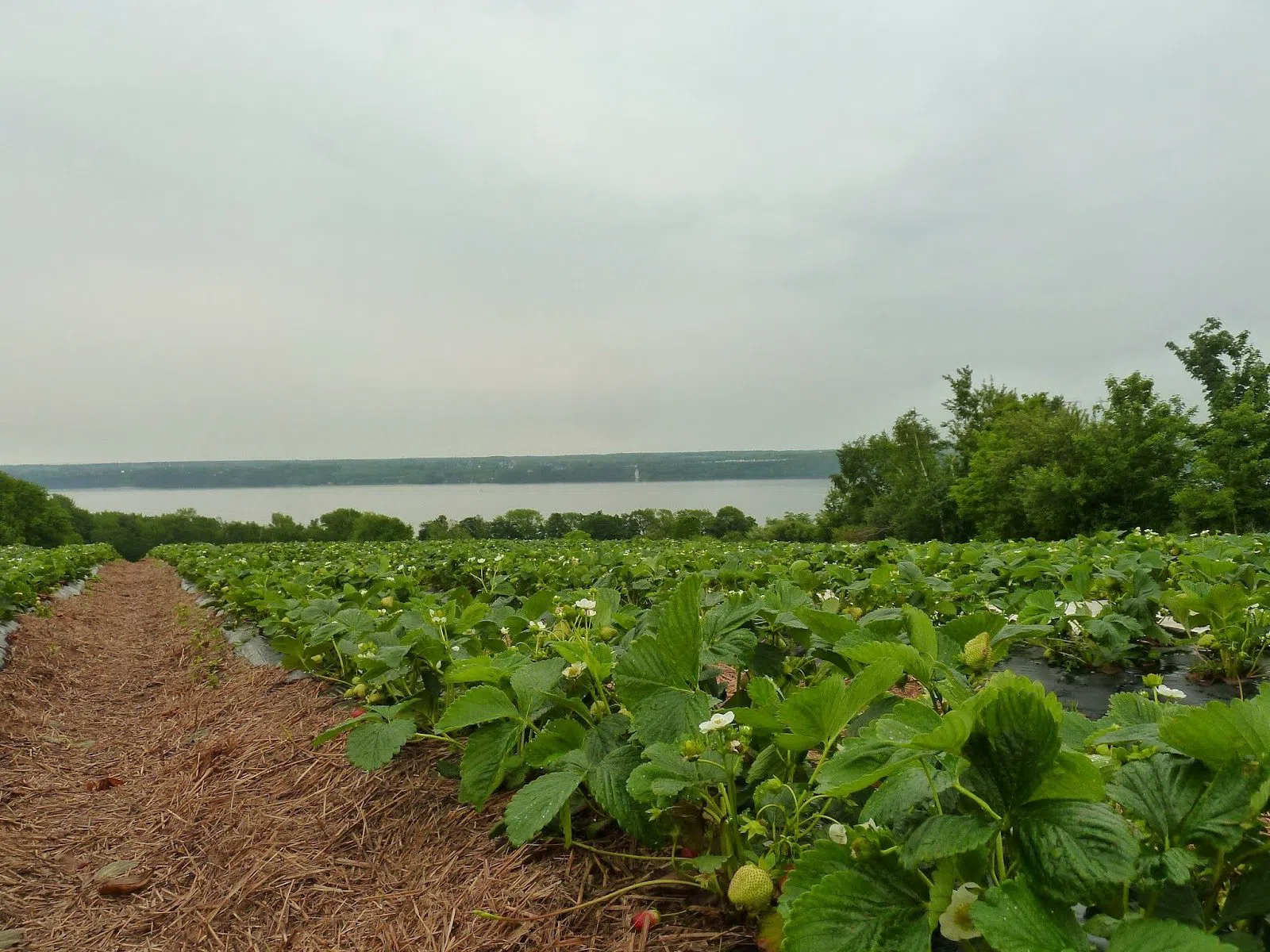 OhBio – Ferme Jean-Pierre Plante, Quebec